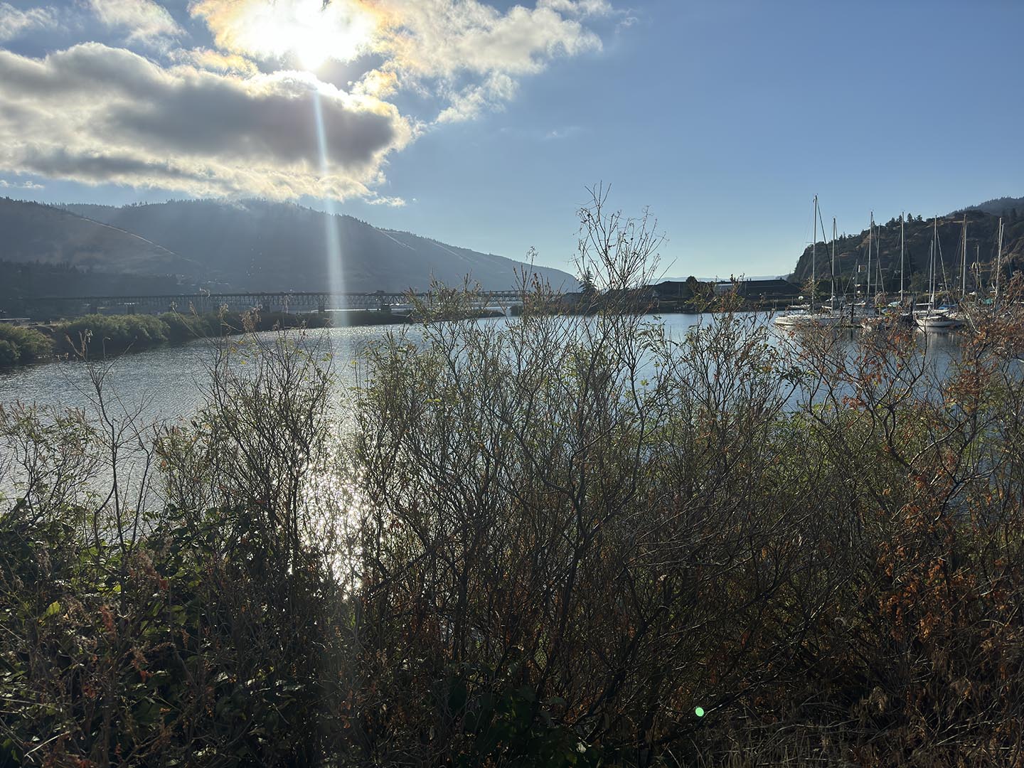 Lessons from a Year Abroad